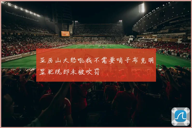 亚历山大怒吼我不需要哨子布克明显犯规却未被吹罚