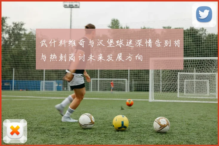 武什科维奇与汉堡球迷深情告别将与热刺商讨未来发展方向