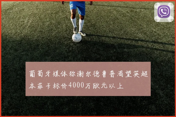 葡萄牙媒体称谢尔德鲁普渴望英超本菲卡标价4000万欧元以上